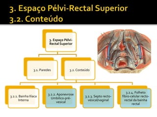 3. Espaço Pélvi- 
Rectal Superior 
3.1. Paredes 3.2. Conteúdo 
3.2.1. Bainha Ilíaca 
Interna 
3.2.2. Aponevrose 
Umbilico-pré-vesical 
3.2.3. Septo recto-vesical/ 
vaginal 
3.2.4. Folheto 
fibro-celular recto-rectal 
da bainha 
rectal 
 