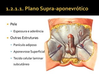  Pele 
 Espessura e aderência 
 Outras Estruturas 
 Panículo adiposo 
 Aponevrose Superficial 
 Tecido celular laminar 
subcutâneo 
 