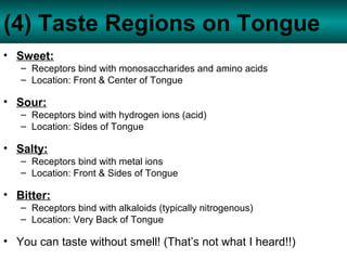 Anat unit 2 taste touch smell notes