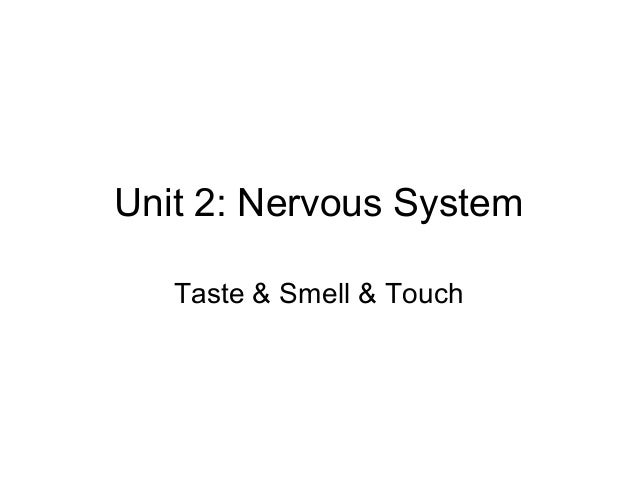 anat unit 2 taste touch smell notes touch notes
