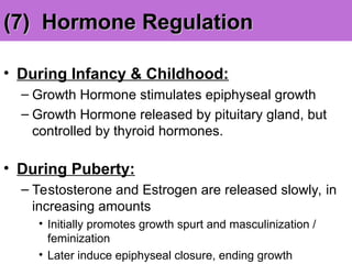 (7) Hormone Regulation
(7) Hormone Regulation
• During Infancy & Childhood:
– Growth Hormone stimulates epiphyseal growth
– Growth Hormone released by pituitary gland, but
controlled by thyroid hormones.
• During Puberty:
– Testosterone and Estrogen are released slowly, in
increasing amounts
• Initially promotes growth spurt and masculinization /
feminization
• Later induce epiphyseal closure, ending growth
 