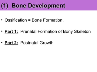 (1) Bone Development
(1) Bone Development
• Ossification = Bone Formation.
• Part 1: Prenatal Formation of Bony Skeleton
• Part 2: Postnatal Growth
 