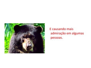 E causando mais admiração em algumas pessoas. 