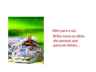 Olho para o sol,  Brilha como os olhos das pessoas que parecem felizes... 