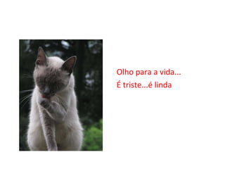 Olho para a vida... É triste...é linda 