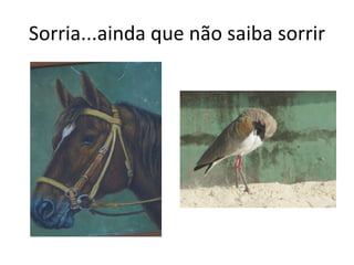 Sorria...ainda que não saiba sorrir 
