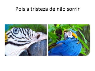 Pois a tristeza de não sorrir 