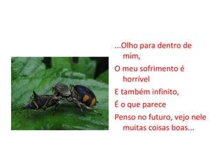 ...Olho para dentro de mim, O meu sofrimento é horrível E também infinito, É o que parece Penso no futuro, vejo nele muitas coisas boas... 