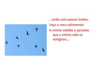 ...ando com passos lentos, Vejo o meu sofrimento A minha solidão e percebo que a minha vida se estagnou ... 