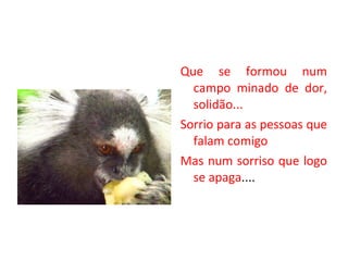 Que se formou num campo minado de dor, solidão... Sorrio para as pessoas que falam comigo Mas num sorriso que logo se apaga .... 