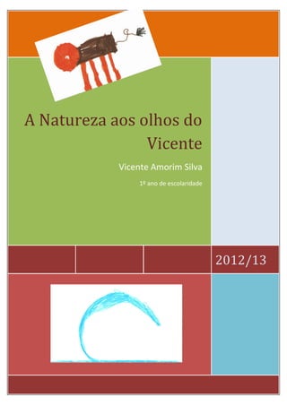 A Natureza aos olhos do
                Vicente
            Vicente Amorim Silva
                1º ano de escolaridade




                                         2012/13
 