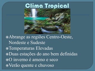 Alto índice de umidade do arClima TropicalAbrange as regiões Centro-Oeste, Nordeste e SudesteTemperaturas ElevadasDuas estações do ano bem definidasO inverno é ameno e secoVerão quente e chuvoso