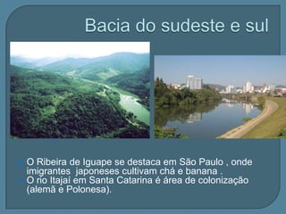  Bacia do Leste Incluem rios como: vaza-Barris e das Contas ( Bahia), Doce ( Mg e ES) , e Paraíba do Sul (RJ) A cafeicultura no  vale   rio Paraíba do Sul sustentou a economia brasileira durante o período Imperial  no século  XIX . Hoje é importante região  industrial integrante da Megalópole Ri0-São-Paulo