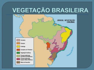         Bacia do nordeste Compreende rios de vários estados nordestinos :  Mearim,itapecuru, Parnaíba, jaguaribe Em virtude do clima, grande parte do rios são temporários. 