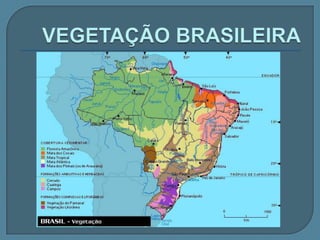     Bacia do sudeste e sul O Ribeira de Iguape se destaca em São Paulo , onde imigrantes  japoneses cultivam chá e banana . O rio Itajaí em Santa Catarina é área de colonização         (alemã e Polonesa). 