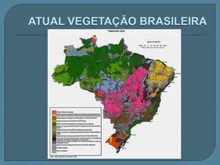 VEGETAÇÃO BRASILEIRA