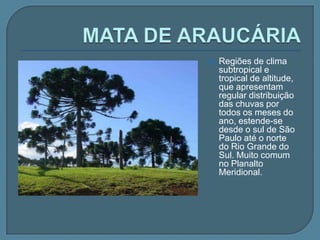 MATA DOS COCAISTransição entre os ecossistemas da Floresta Amazônica e da caatinga. Presença de babaçu e carnaúba.