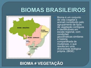 MATA DE ARAUCÁRIARegiões de clima subtropical e tropical de altitude, que apresentam regular distribuição das chuvas por todos os meses do ano, estende-se desde o sul de São Paulo até o norte do Rio Grande do Sul. Muito comum no Planalto Meridional.