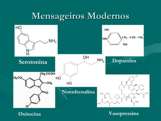 Mensageiros ModernosMensageiros Modernos
Serotonina Dopamina
Oxitocina
Noradrenalina
Vasopressina
 