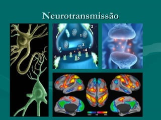 NeurotransmissãoNeurotransmissão
 