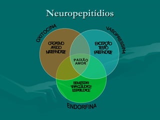 NeuropepitídiosNeuropepitídios
 