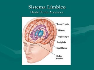 Sistema LímbicoSistema Límbico
Onde Tudo AconteceOnde Tudo Acontece
 