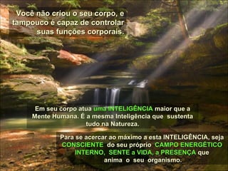 Você não criou o seu corpo, eVocê não criou o seu corpo, e
tampouco é capaz de controlartampouco é capaz de controlar
suas funções corporais.suas funções corporais.
Em seu corpo atuaEm seu corpo atua uma INTELIGÊNCIAuma INTELIGÊNCIA maior que amaior que a
Mente Humana. É a mesma Inteligência que sustentaMente Humana. É a mesma Inteligência que sustenta
tudo na Natureza.tudo na Natureza.
Para se acercar ao máximo a esta INTELIGÊNCIA, sejaPara se acercar ao máximo a esta INTELIGÊNCIA, seja
CONSCIENTECONSCIENTE do seu própriodo seu próprio CAMPO ENERGÉTICOCAMPO ENERGÉTICO
INTERNO, SENTE a VIDA, a PRESENÇAINTERNO, SENTE a VIDA, a PRESENÇA queque
anima o seu organismo.anima o seu organismo.
 