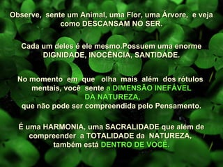 Observe, sente um Animal, uma Flor, uma Árvore, e vejaObserve, sente um Animal, uma Flor, uma Árvore, e veja
como DESCANSAM NO SER.como DESCANSAM NO SER.
É uma HARMONIA, uma SACRALIDADE que além deÉ uma HARMONIA, uma SACRALIDADE que além de
compreender a TOTALIDADE da NATUREZA,compreender a TOTALIDADE da NATUREZA,
também estátambém está DENTRO DE VOCÊ.DENTRO DE VOCÊ.
Cada um deles é ele mesmo.Possuem uma enormeCada um deles é ele mesmo.Possuem uma enorme
DIGNIDADE, INOCÊNCIA, SANTIDADE.DIGNIDADE, INOCÊNCIA, SANTIDADE.
No momento em que olha mais além dos rótulosNo momento em que olha mais além dos rótulos
mentais, você sentementais, você sente a DIMENSÃO INEFÁVELa DIMENSÃO INEFÁVEL
DA NATUREZA,DA NATUREZA,
que não pode ser compreendida pelo Pensamento.que não pode ser compreendida pelo Pensamento.
 