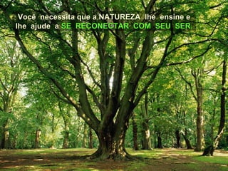 Você necessita que a NATUREZA lhe ensine eVocê necessita que a NATUREZA lhe ensine e
lhe ajude alhe ajude a SE RECONECTAR COM SEU SER.SE RECONECTAR COM SEU SER.
 
