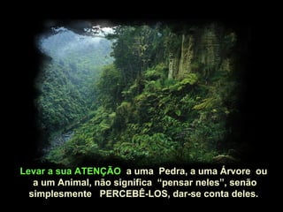 Levar a sua ATENÇÃOLevar a sua ATENÇÃO a uma Pedra, a uma Árvore oua uma Pedra, a uma Árvore ou
a um Animal, não significa “pensar neles”, senãoa um Animal, não significa “pensar neles”, senão
simplesmente PERCEBÊ-LOS, dar-se conta deles.simplesmente PERCEBÊ-LOS, dar-se conta deles.
 