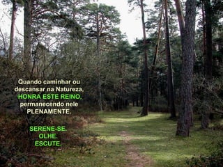 Quando caminhar ouQuando caminhar ou
descansar na Natureza,descansar na Natureza,
HONRA ESTE REINO,HONRA ESTE REINO,
permanecendo nelepermanecendo nele
PLENAMENTE.PLENAMENTE.
SERENE-SE.SERENE-SE.
OLHE.OLHE.
ESCUTE.ESCUTE.
 