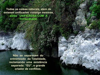 Todas as coisas naturais, além deTodas as coisas naturais, além de
estarem unificadas consigo mesmas,estarem unificadas consigo mesmas,
estão UNIFICADAS COM Aestão UNIFICADAS COM A
TOTALIDADE.TOTALIDADE.
Não se separaram doNão se separaram do
entremeado da Totalidade,entremeado da Totalidade,
reclamando uma existênciareclamando uma existência
separada: “EU”, o grandeseparada: “EU”, o grande
criador de conflitos.criador de conflitos.
 