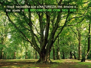 Você  necessita que a NATUREZA  lhe  ensine e lhe  ajude  a  SE  RECONECTAR  COM  SEU  SER. 