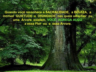 Quando você reconhece a SACRALIDADE,  a BELEZA,  a incrível  QUIETUDE  e  DIGNIDADE  nas quais uma Flor  ou  uma  Árvore  existem,  VOCÊ  AGREGA ALGO  a essa Flor  ou  a  essa Árvore. 