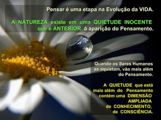 Pensar é uma etapa na Evolução da VIDA. A  NATUREZA  existe  em  uma  QUIETUDE  INOCENTE  que é ANTERIOR  à aparição do Pensamento. Quando os Seres Humanos se aquietam, vão mais além do Pensamento. A  QUIETUDE  que está mais além  do  Pensamento contém uma  DIMENSÃO  AMPLIADA  de  CONHECIMENTO,  de  CONSCIÊNCIA. 
