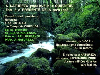 A  NATUREZA  pode levá-lo  à  QUIETUDE. Este  é  o  PRESENTE  DELA  para você. Através  de  VOCÊ  a Natureza  toma consciência  de  si  mesma. Quando  você  percebe  a Natureza  e  se  une  a  ela  no Campo da QUIETUDE  ela  se  preenche  da  SUA CONSCIÊNCIA. Este  é o  SEU  PRESENTE  PARA  A  NATUREZA. É  como se a NATUREZA  estivesse  ESPERANDO VOCÊ  durante milhões de anos para fazê-lo. 