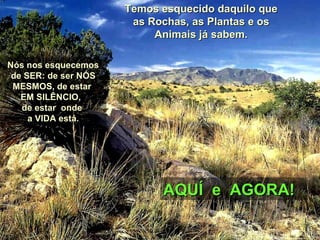 Temos esquecido daquilo que as Rochas, as Plantas e os Animais já sabem. Nós nos esquecemos de SER: de ser NÓS MESMOS, de estar  EM SILÊNCIO,  de estar  onde  a VIDA está. AQUÍ  e  AGORA! 