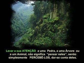 Levar a sua ATENÇÃO  a uma  Pedra, a uma Árvore  ou a um Animal, não significa  “pensar neles”, senão simplesmente  PERCEBÊ-LOS, dar-se conta deles. 
