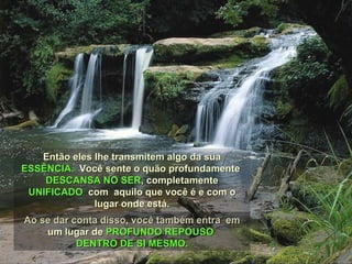 Ao se dar conta disso, você também entra  em um lugar de  PROFUNDO REPOUSO  DENTRO DE SI MESMO. Então eles lhe transmitem algo da sua  ESSÊNCIA.  Você sente o quão profundamente  DESCANSA NO SER , completamente  UNIFICADO   com  aquilo que você é e com o lugar onde está. 
