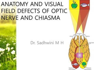 ANATOMY AND VISUAL
FIELD DEFECTS OF OPTIC
NERVE AND CHIASMA
Dr. Sadhwini M H
 