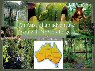 An Australian adventure you will NEVER forget By Amy Davis 