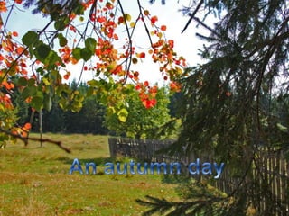 An autumnday 