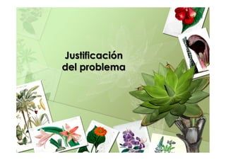 Justificación
del problema
 