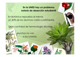 En la UNED hay un problema
notorio de deserción estudiantil
En Botánica reprueba al menos
un 30% de los alumnos cada cuatrimestre.
Gran cantidad de terminología técnica.
Muchos no van
a las tutorías.
 