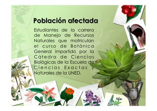 Población afectada
Estudiantes de la carrera
de Manejo de Recursos
Naturales que matriculan
el curso de Botánica
General impartido por la
Cátedra de Ciencias
Biológicas de la Escuela de
C i e n c i a s E x a c t a s y
Naturales de la UNED.
 
 