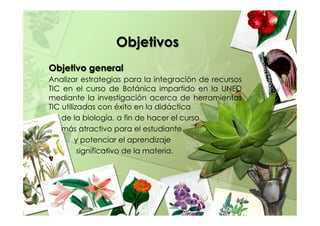 Objetivos
Objetivo general
Analizar estrategias para la integración de recursos
TIC en el curso de Botánica impartido en la UNED
mediante la investigación acerca de herramientas
TIC utilizadas con éxito en la didáctica
de la biología, a fin de hacer el curso
más atractivo para el estudiante
y potenciar el aprendizaje
significativo de la materia.
 