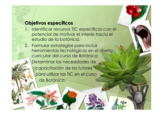 Objetivos específicos
1.  Identificar recursos TIC específicos con el
potencial de motivar el interés hacia el
estudio de la botánica.
2.  Formular estrategias para incluir
herramientas tecnológicas en el diseño
curricular del curso de Botánica
3.  Determinar las necesidades de
capacitación de los tutores
para utilizar las TIC en el curso
de Botánica.
 