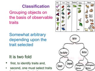 A navigation into science process skills | PPTX