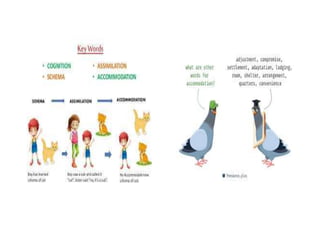 A navigation into science process skills | PPTX