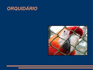 ORQUIDÁRIO
 